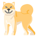 shiba icon