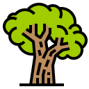 Árbol icon