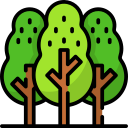 bosque icon