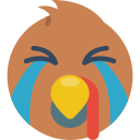 llorar icon