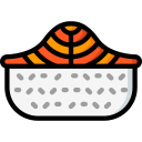 salmón icon