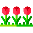 tulipanes icon