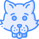 gatito icon