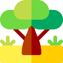 baobab icon