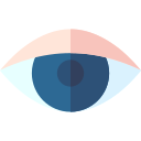 ojo icon