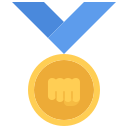 medalla icon