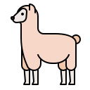 alpaca 