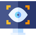 vigilancia icon