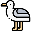 gaviota icon