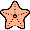 estrella de mar