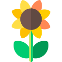 girasol icon