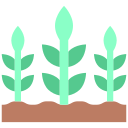 plantas icon