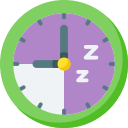 reloj icon