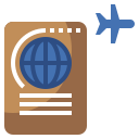 pasaporte icon