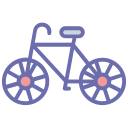 Cycle 