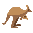 canguro icon