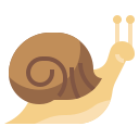 caracol icon