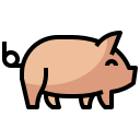 cerdo icon