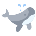 ballena icon