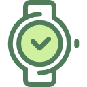 reloj icon