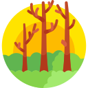 bosque icon