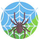 araña icon