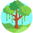 selva icon