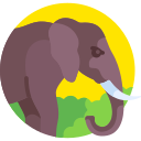 elefante icon