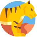 tigre icon