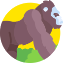 gorila icon