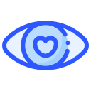 ojo icon