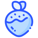 fresa icon