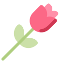 flor rosa icon