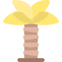 palmera icon