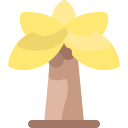 palmera icon