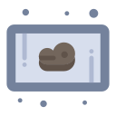 carne de vaca icon