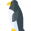 pingüino icon