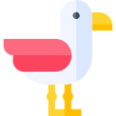 gaviota icon