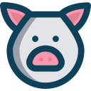 cerdo icon