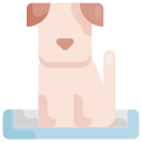 cama para mascotas icon