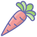 Carrot icon