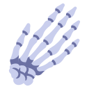 huesos de la mano icon