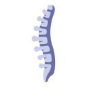 colonna vertebrale icona