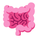 intestino icon