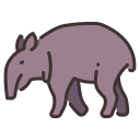 tapir