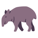 tapir