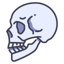 cráneo 