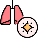 Lungs 