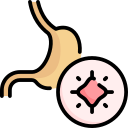 estomac