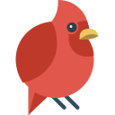 pájaro icon